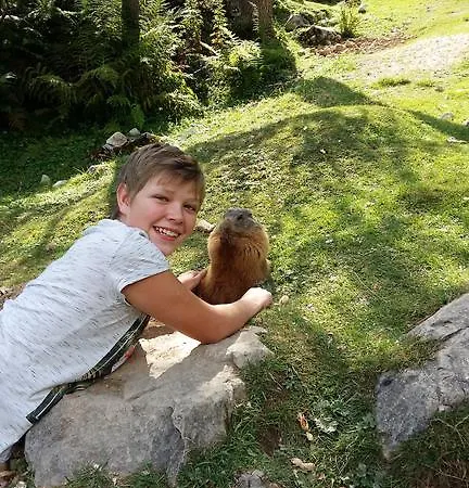 Biobauernhof Moslehenhof Eben Im Pongau