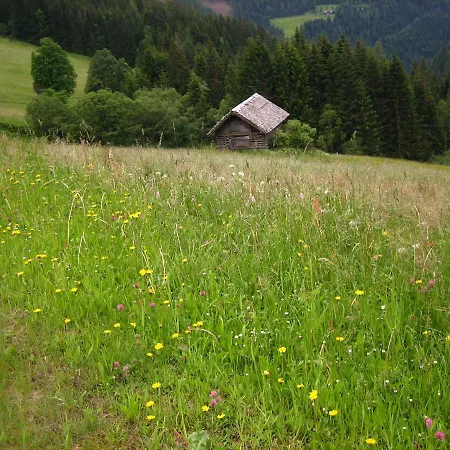 Biobauernhof Moslehenhof Lantgård Eben Im Pongau